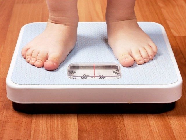 obesitá infantile e numero di adipociti obesitá infantile e numero di adipociti