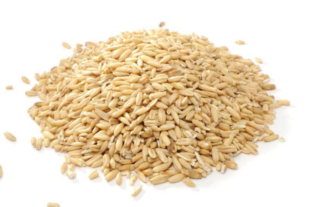 chicchi d'avena